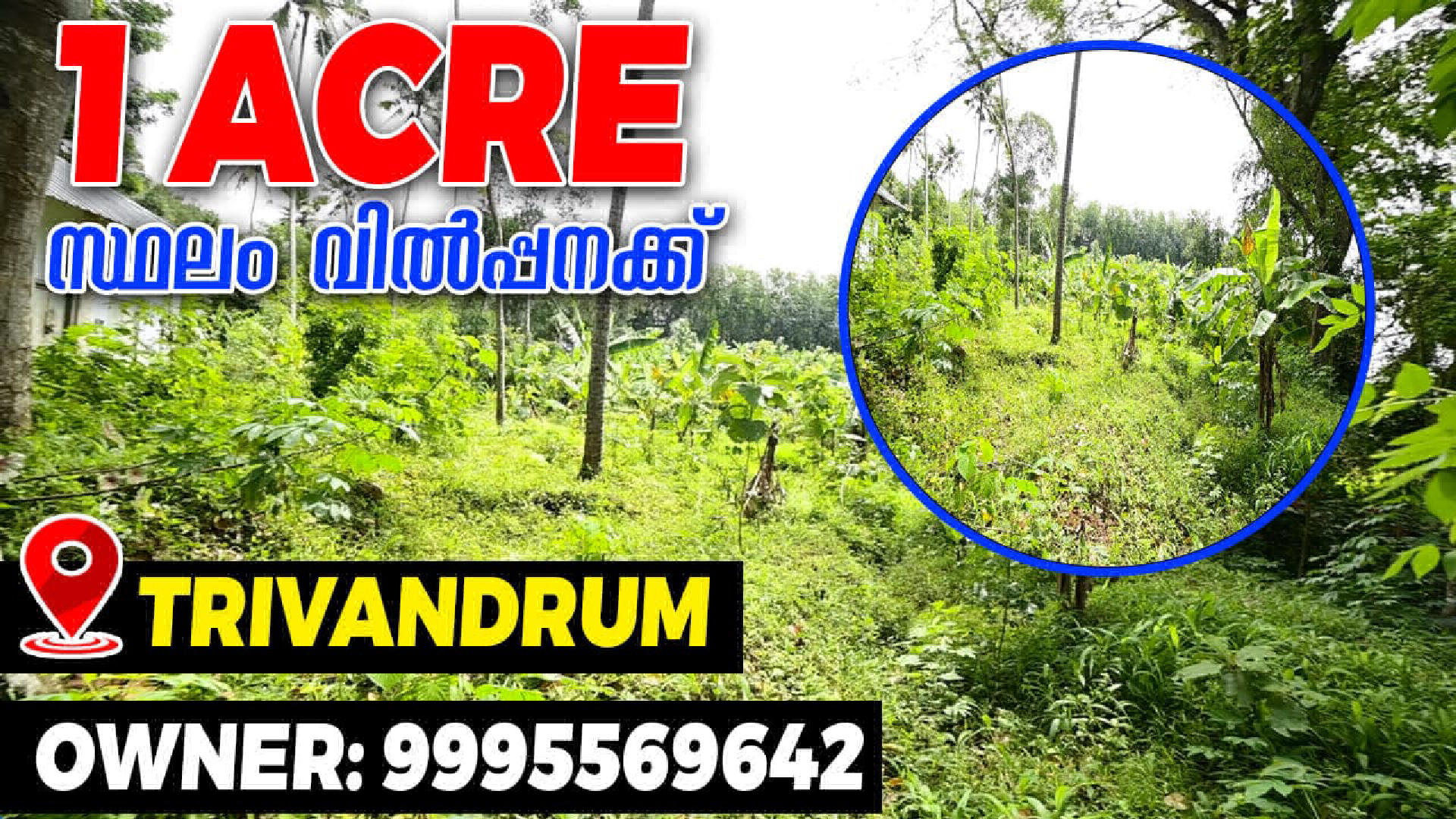 Land / House Plot for Sale