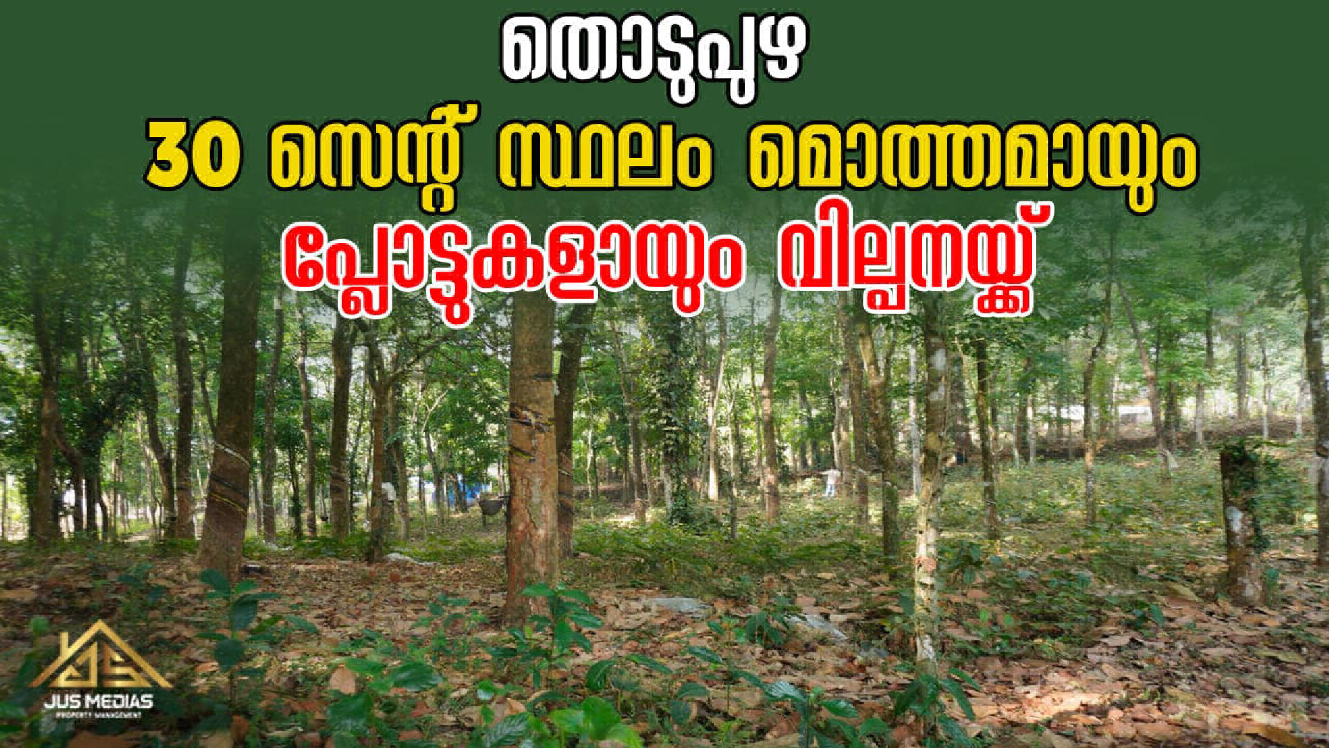 Land / House Plot for Sale