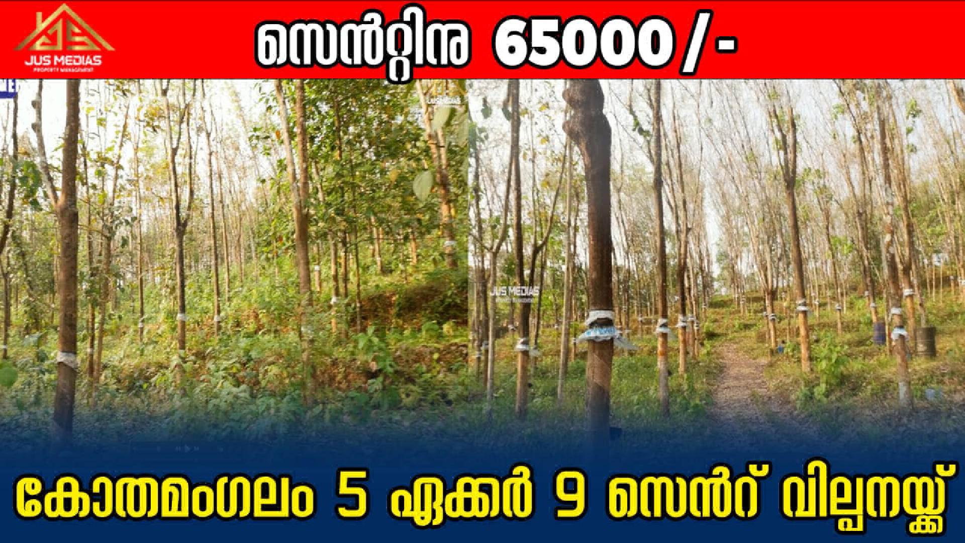 Land / House Plot for Sale