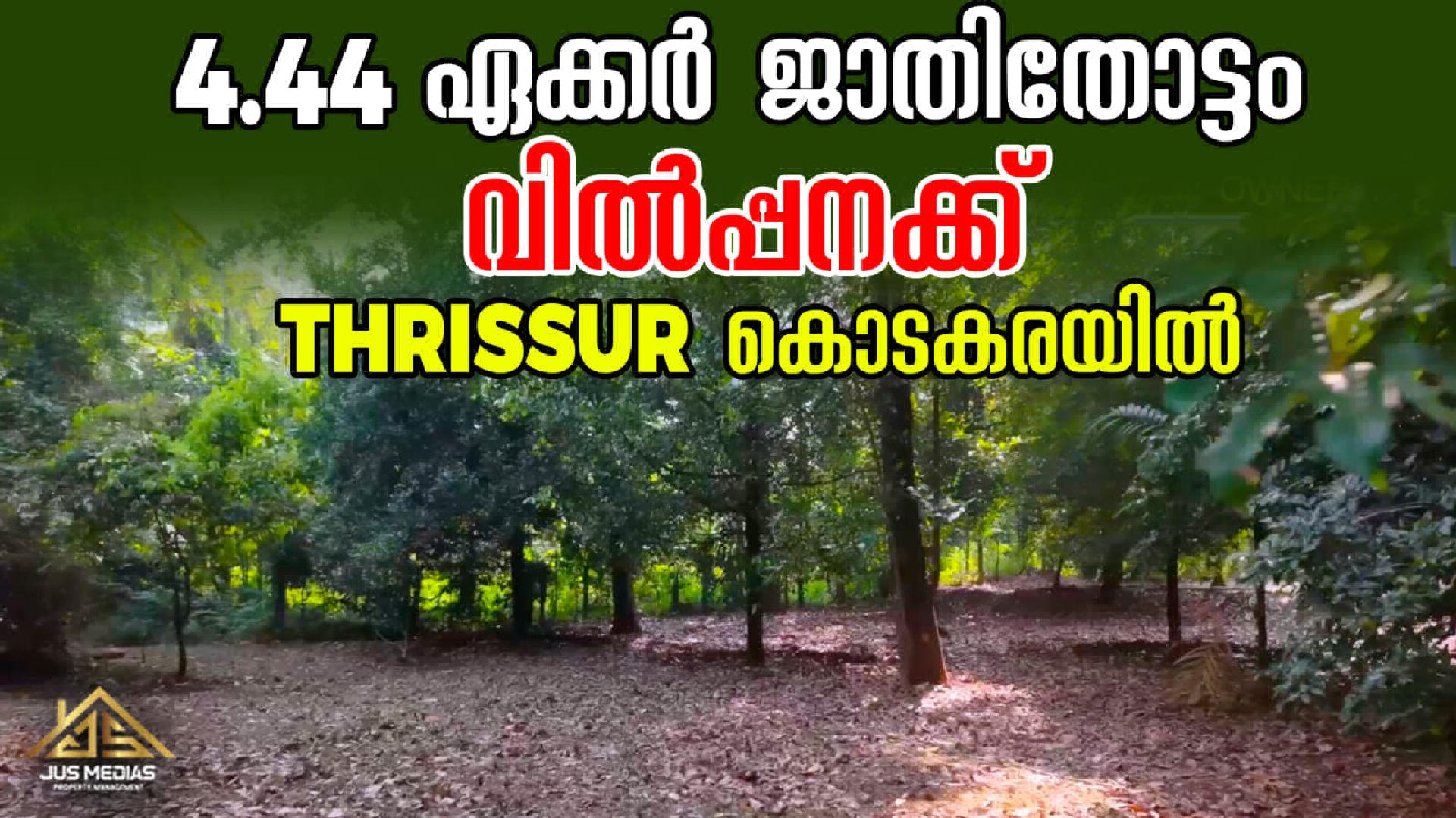 Land / House Plot for Sale