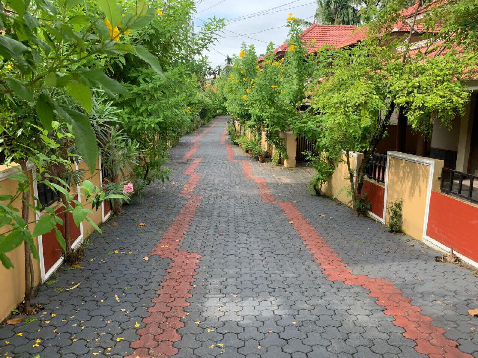 Gated villa for Rent I. kakkanad