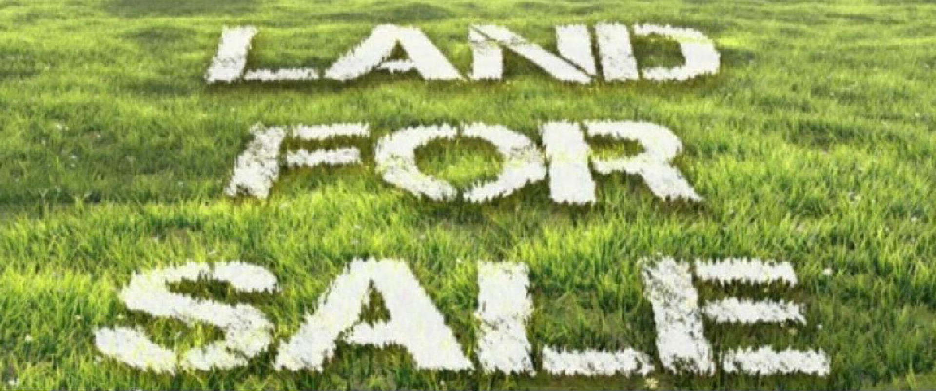 Commercial Land for Sale