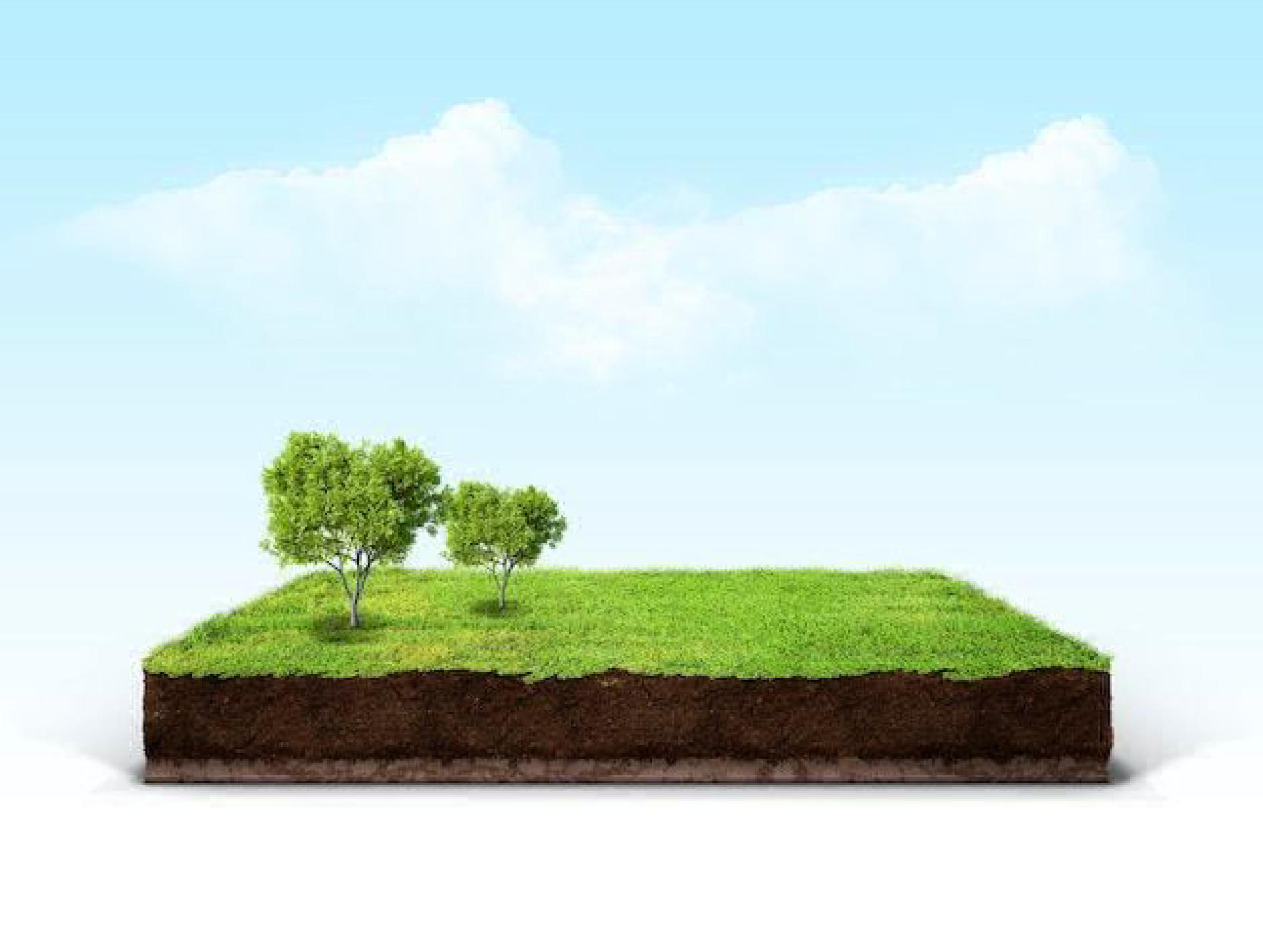 Land / House Plot for Sale