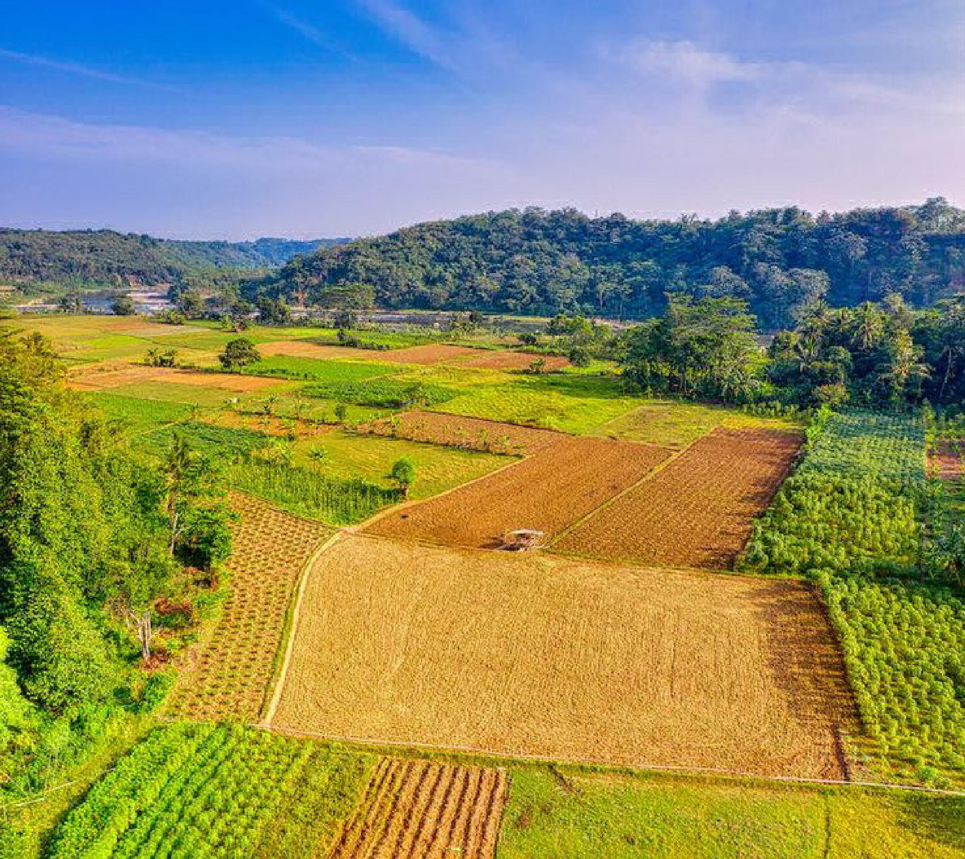 Land / House Plot for Sale