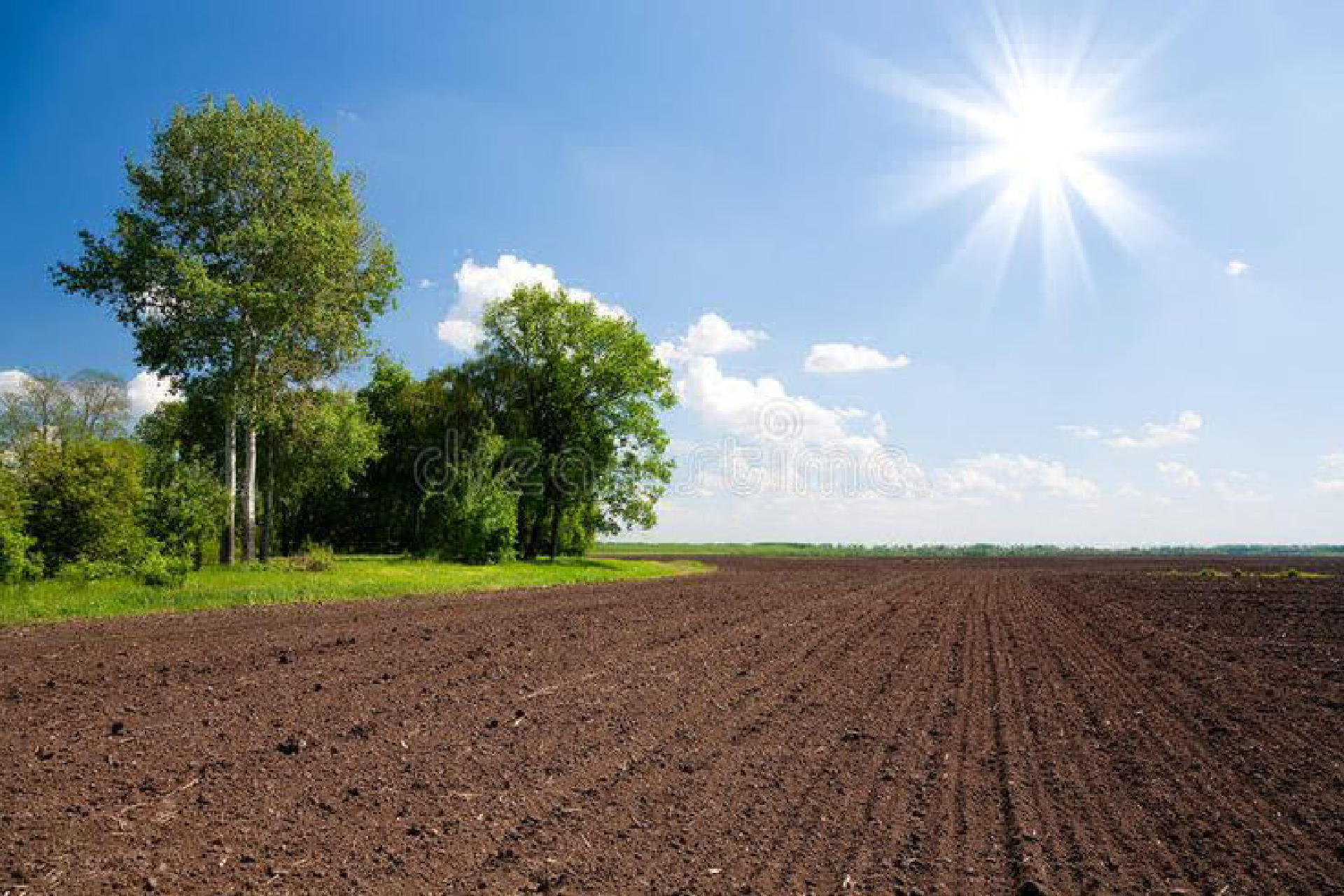 Agricultural Plot for Sale