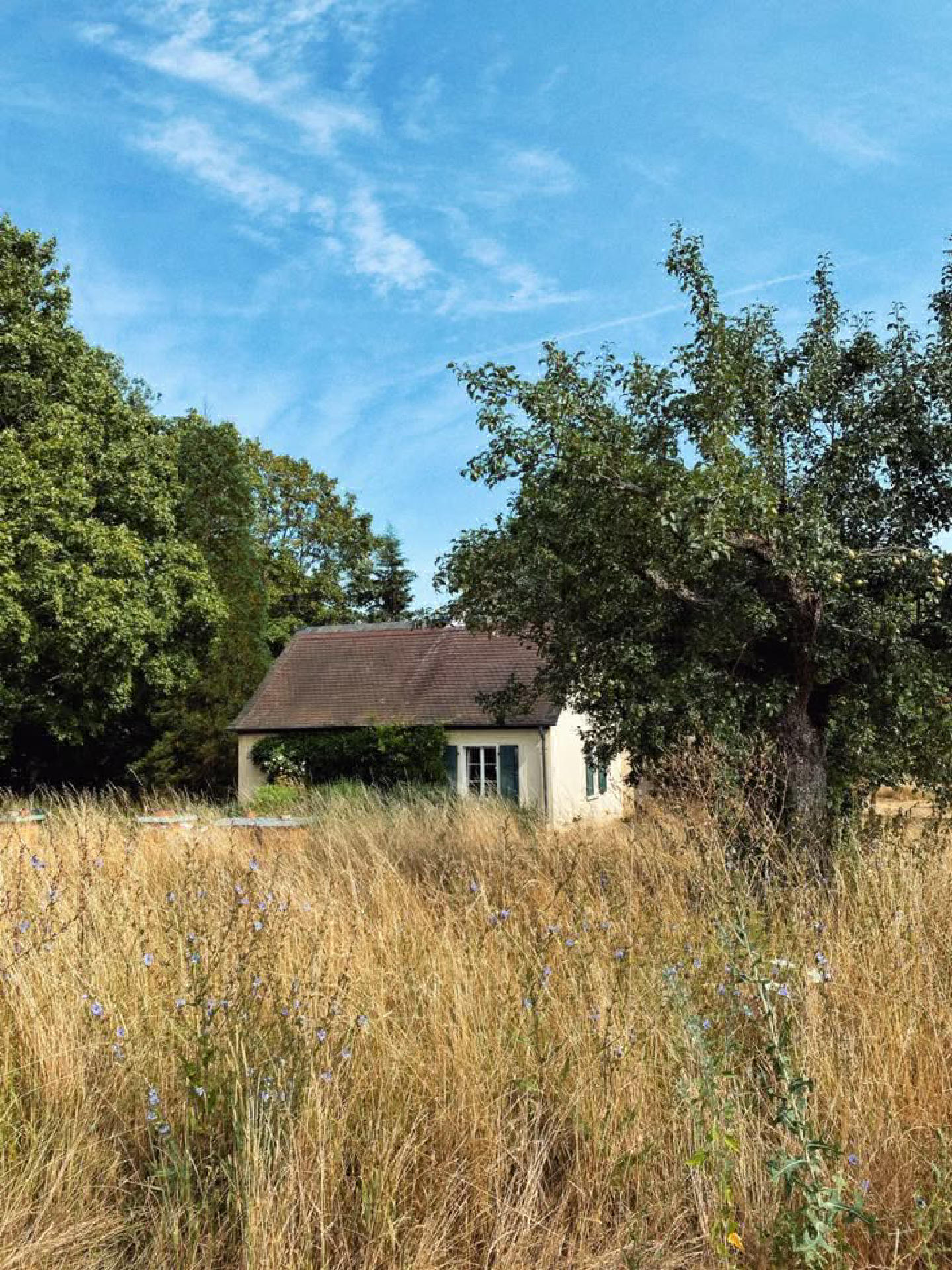 Commercial Land for Sale