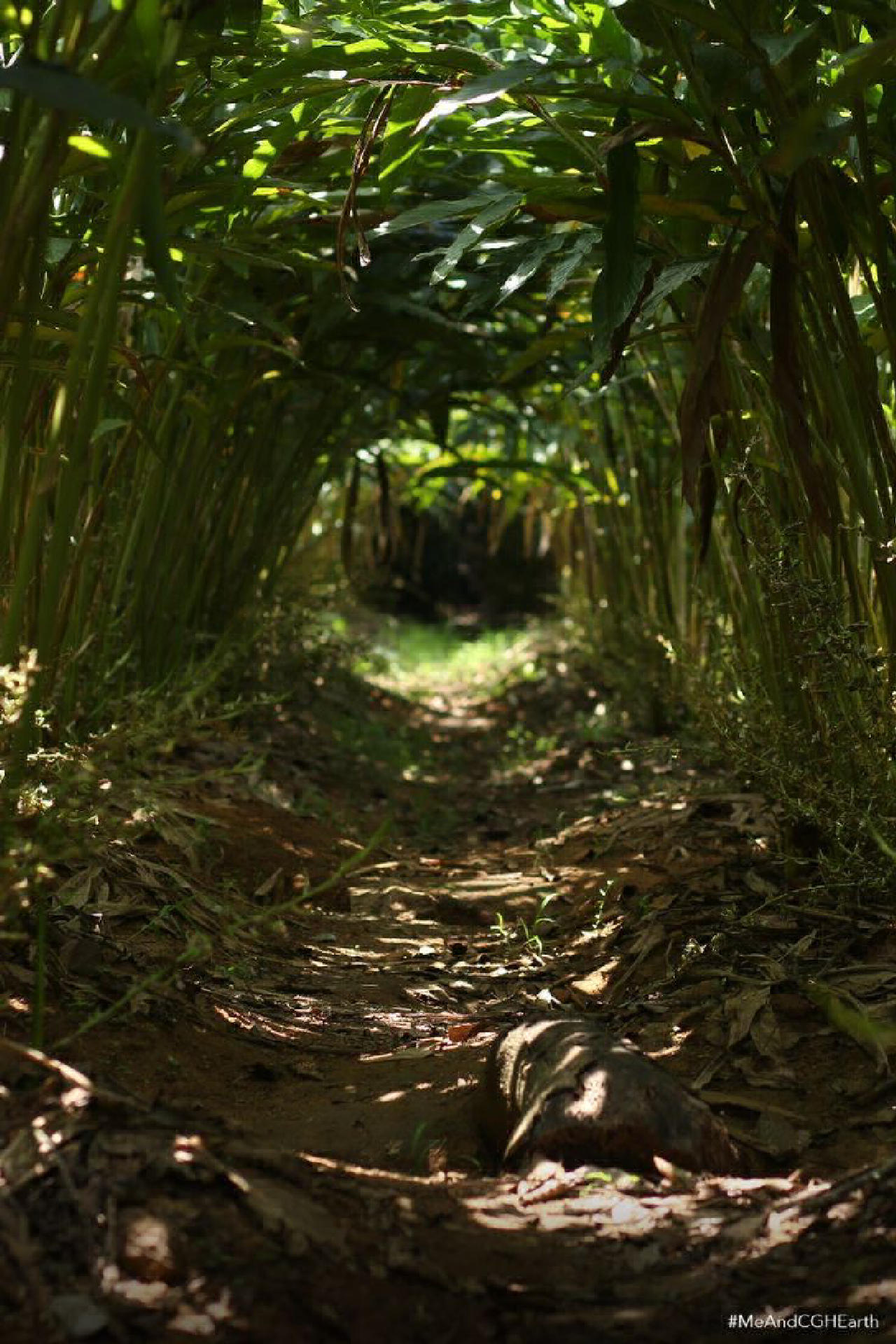 Agricultural Plot for Sale