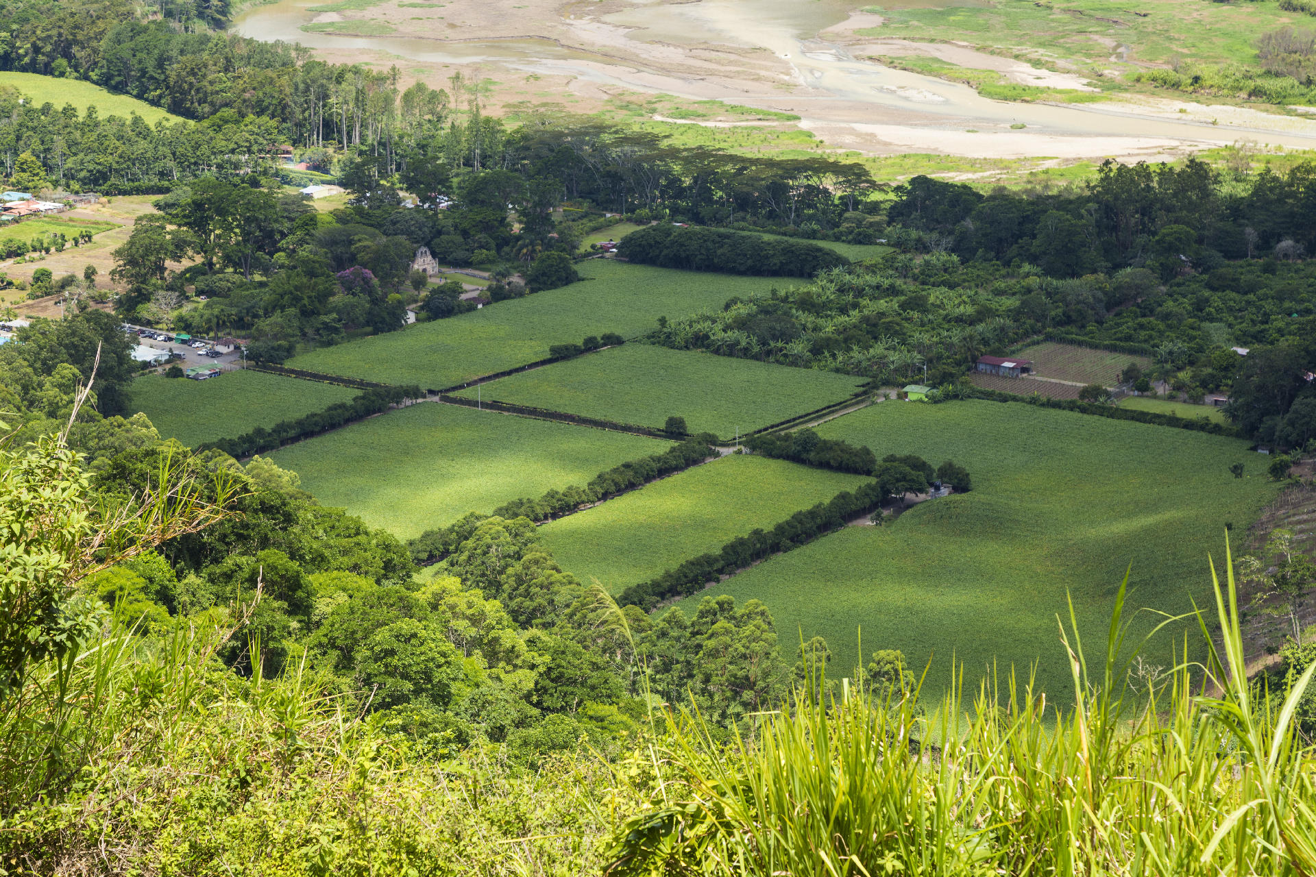 Land / House Plot for Sale