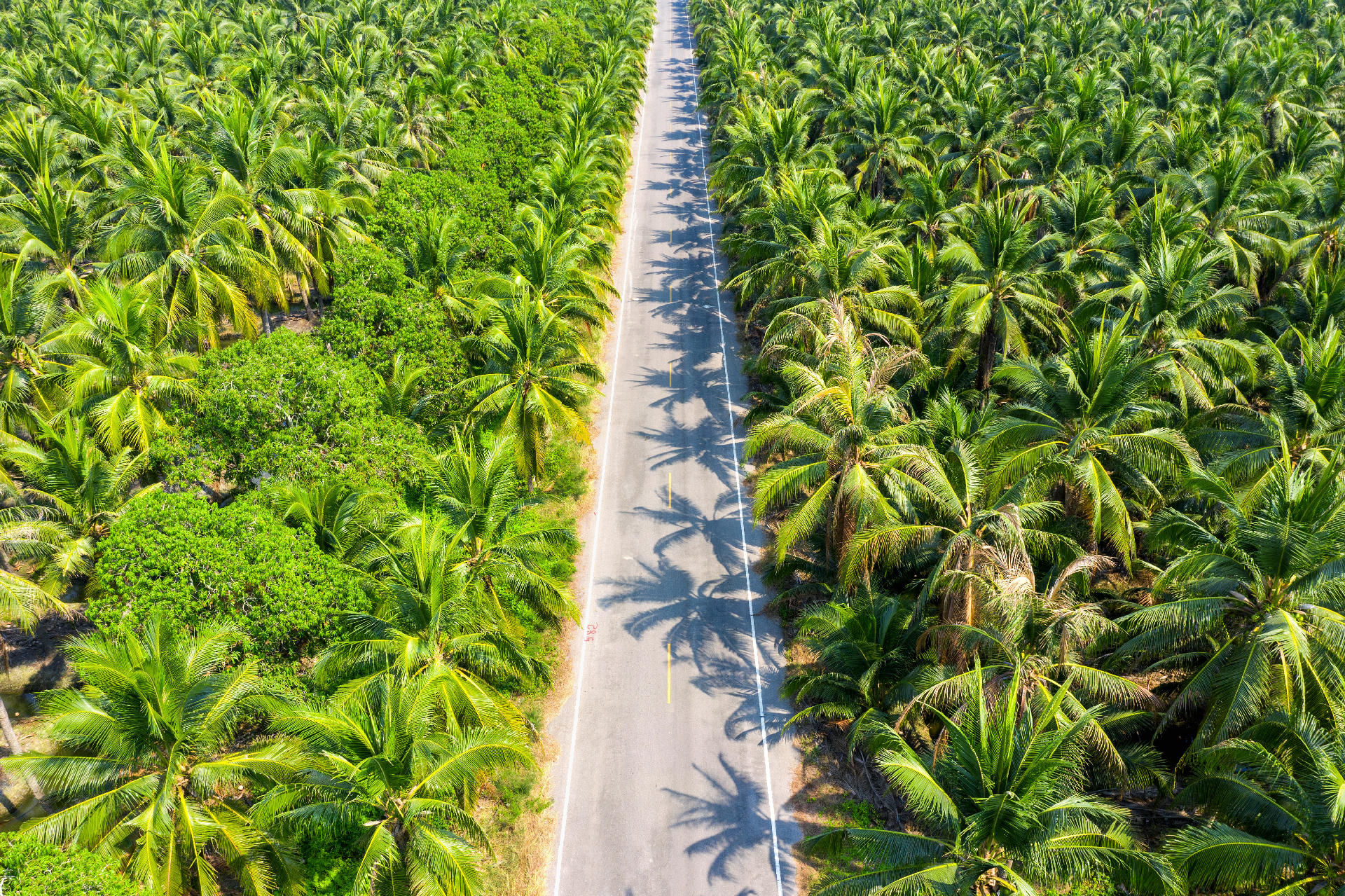 Agricultural Plot for Sale