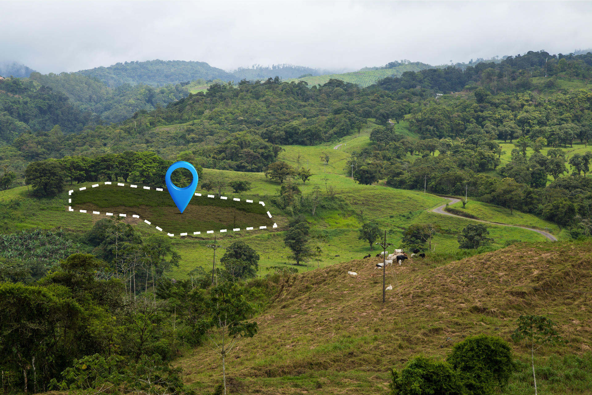 Land / House Plot for Sale