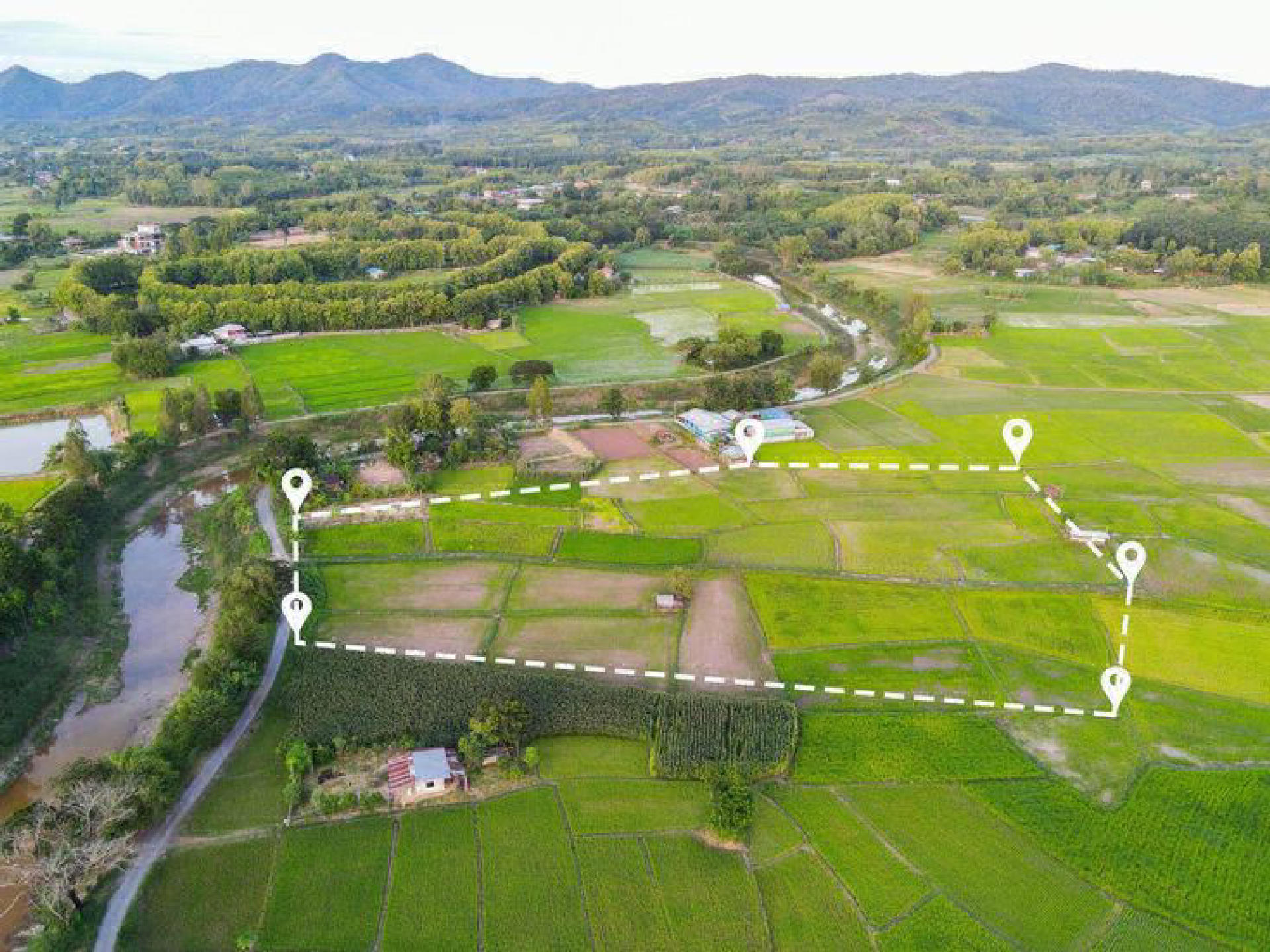 Land / House Plot for Sale