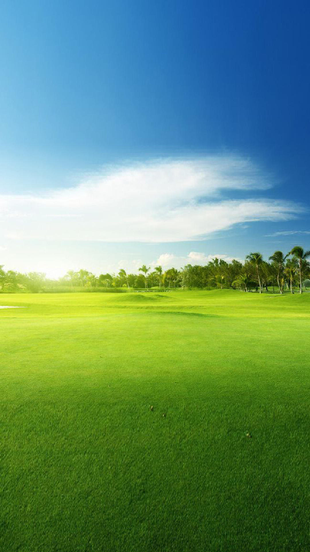 Commercial Land for Sale