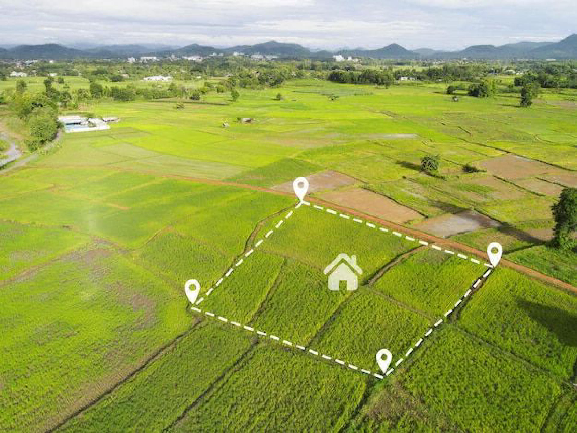 Land / House Plot for Sale