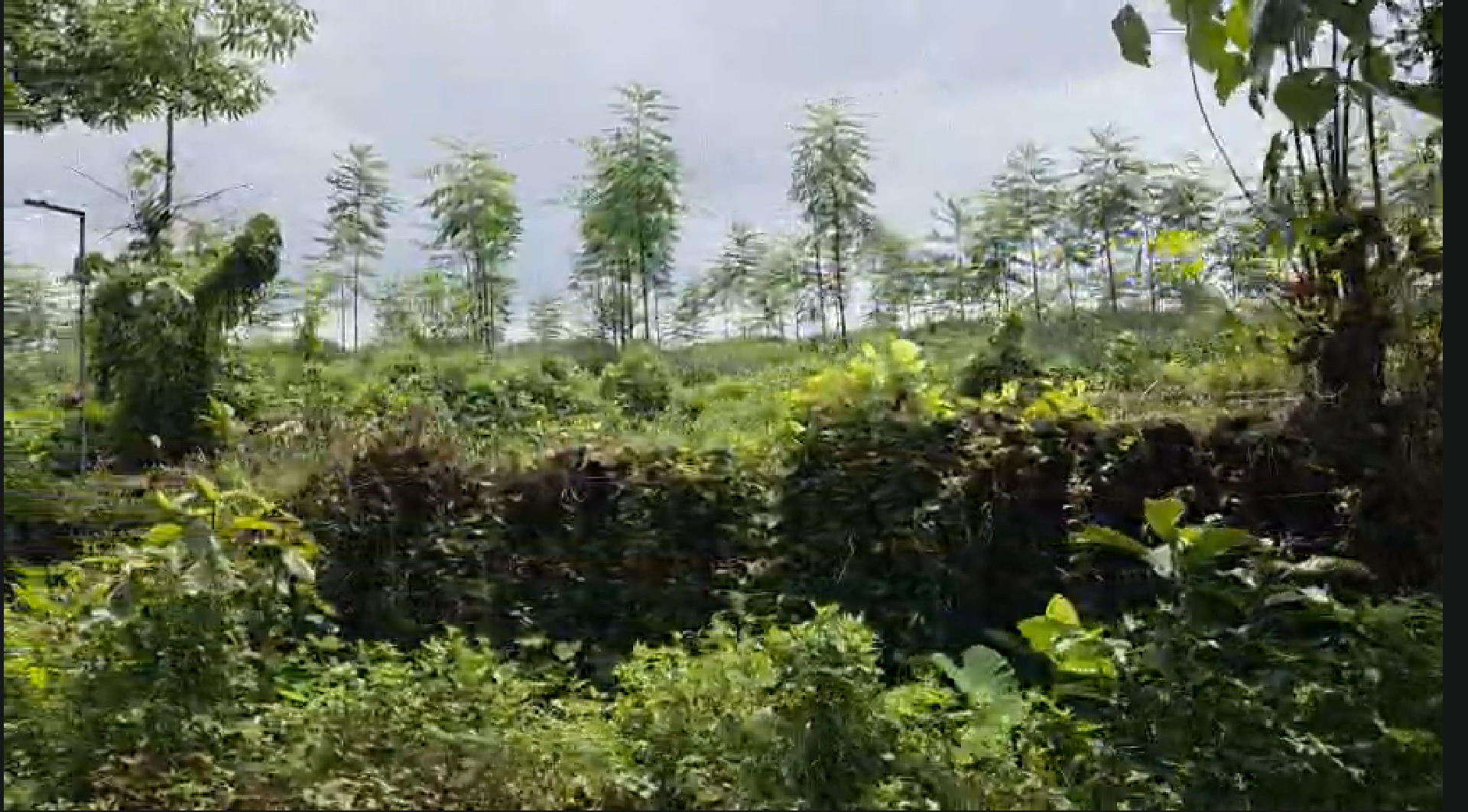 Land / House Plot for Sale