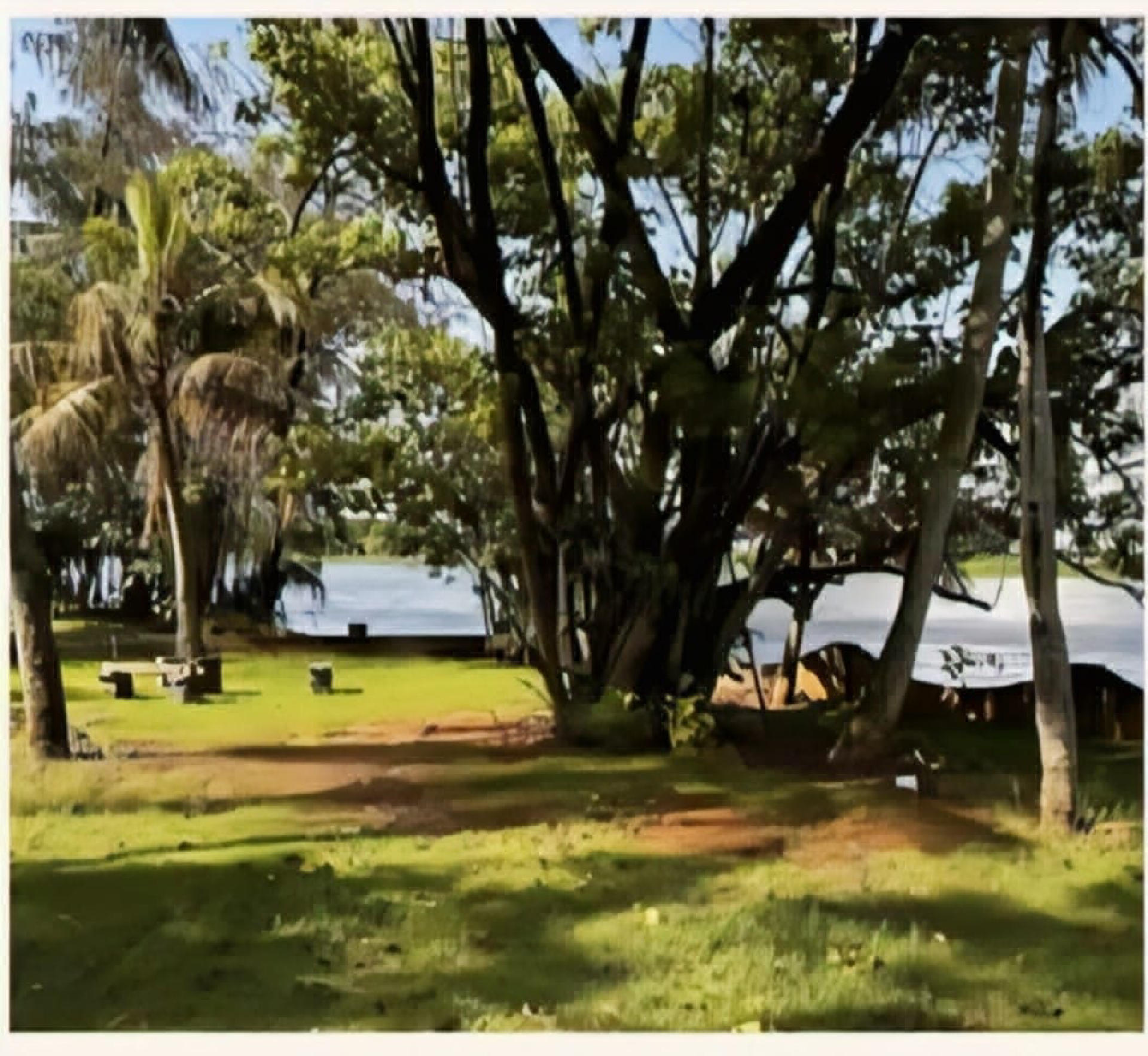 Land with old  Gated villa for Sale