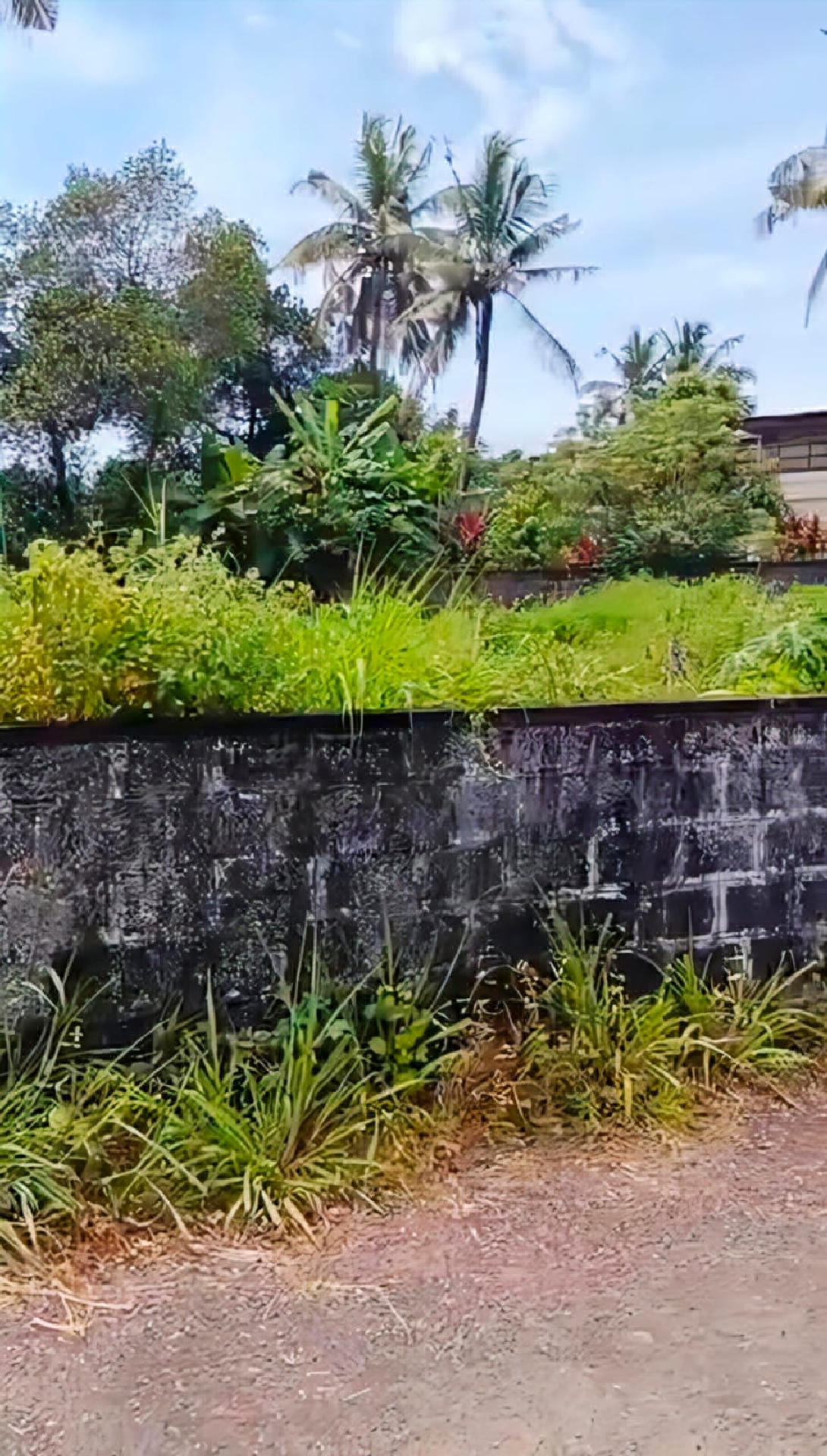 Land / House Plot for Sale