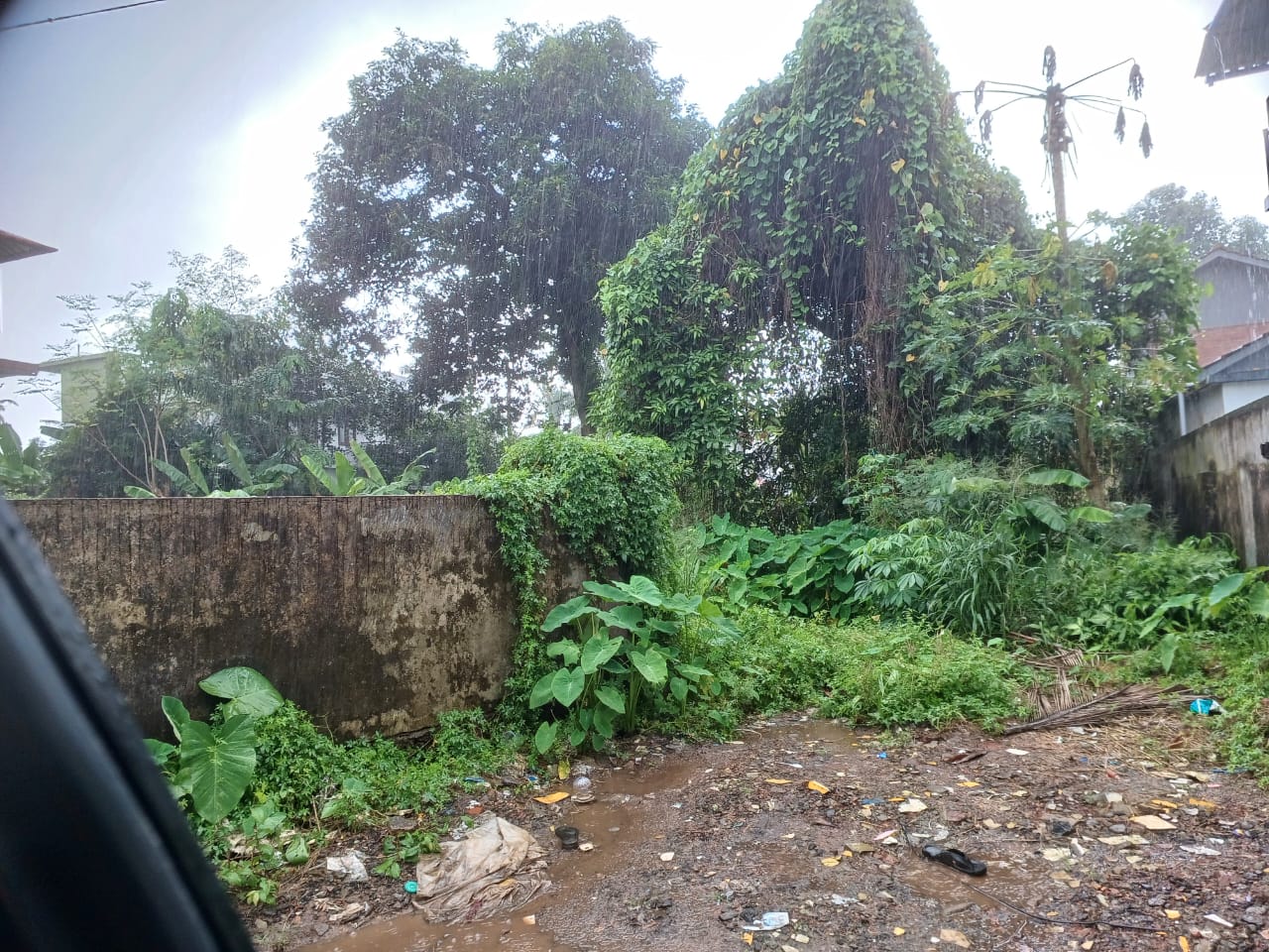 Land / House Plot for sale at Maradu, Ernakulam