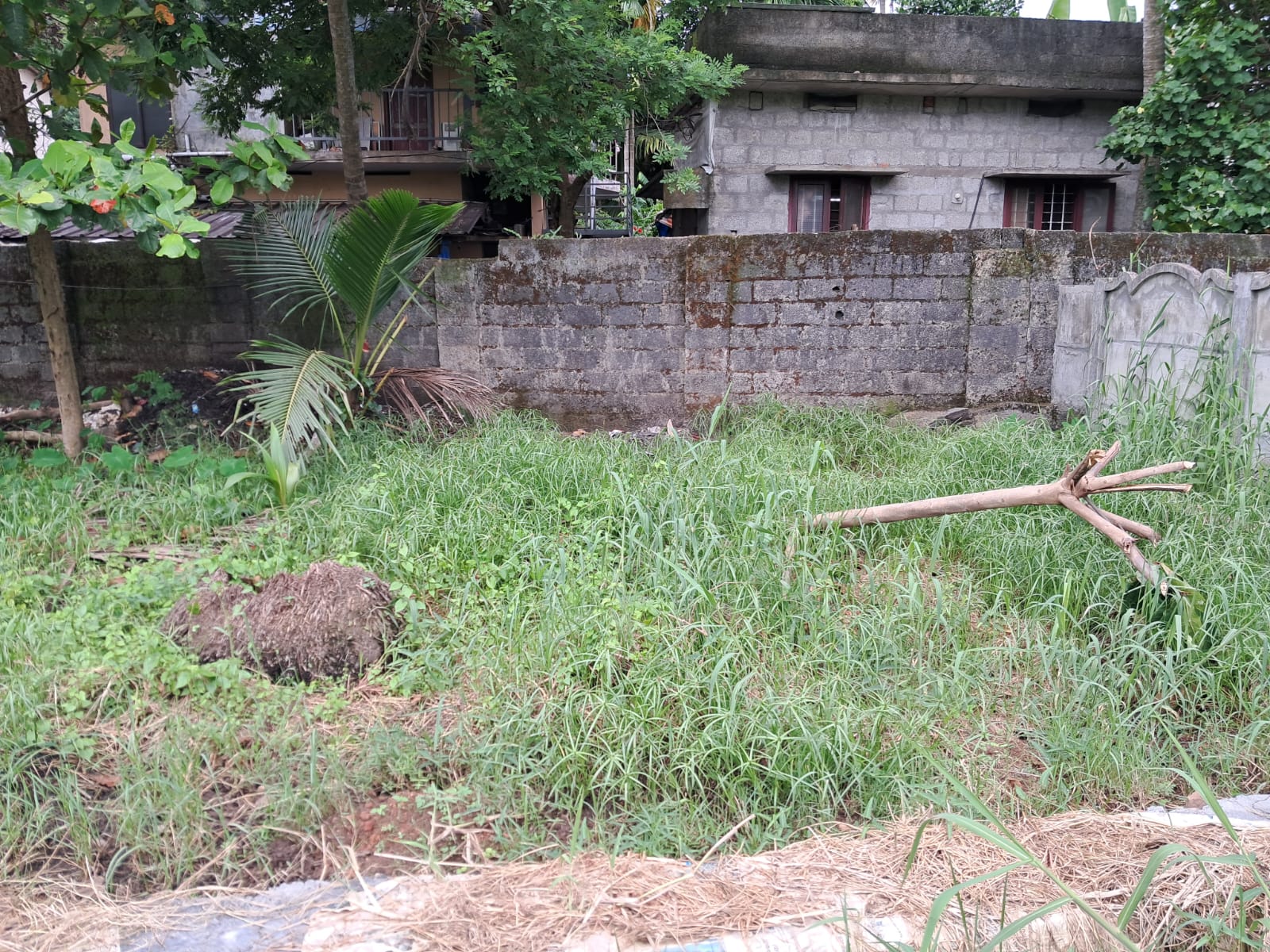 Land / House Plot for sale at Maradu, Ernakulam