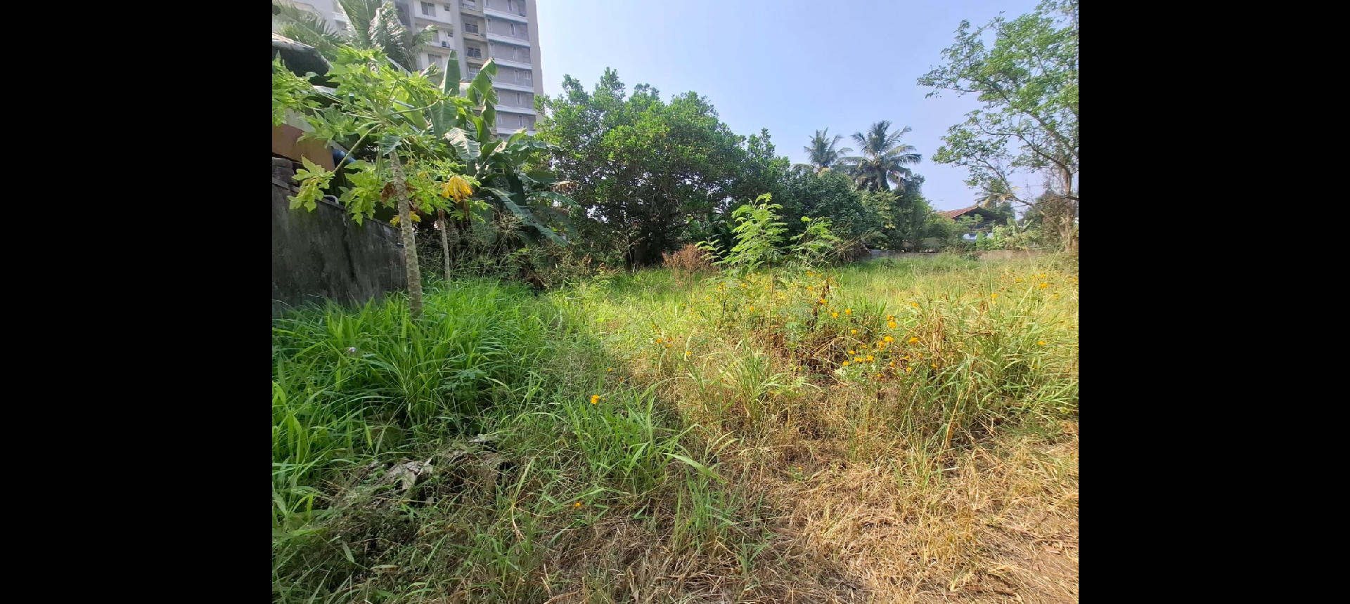 Land / House Plot for Sale